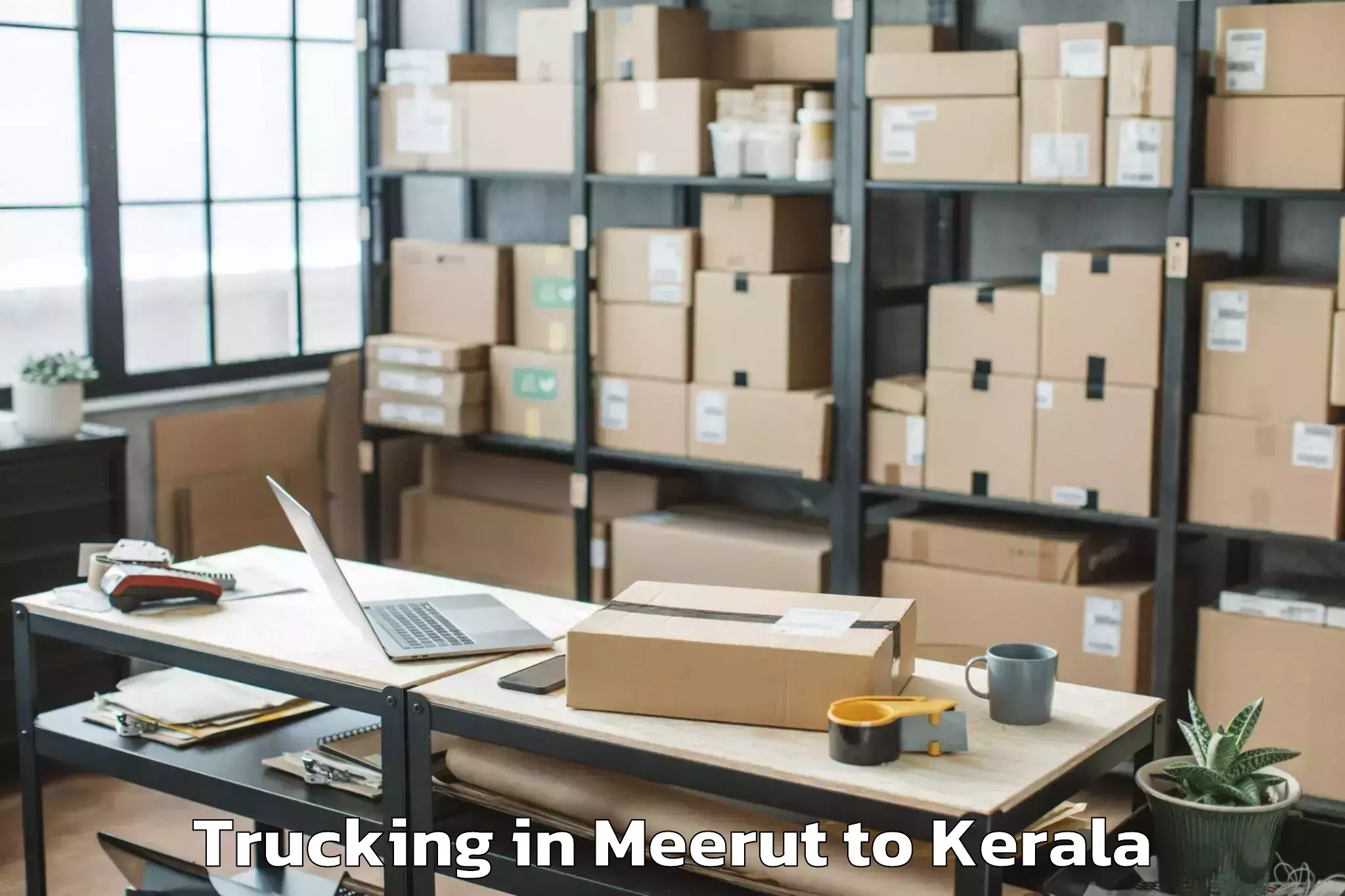 Expert Meerut to Parippally Trucking